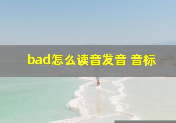 bad怎么读音发音 音标